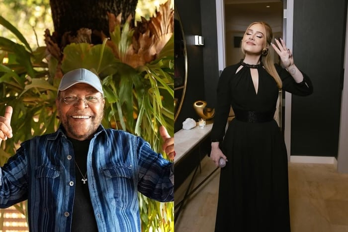 Sąd nakazał usunięcie piosenki Adele za plagiat Martinho da Vila