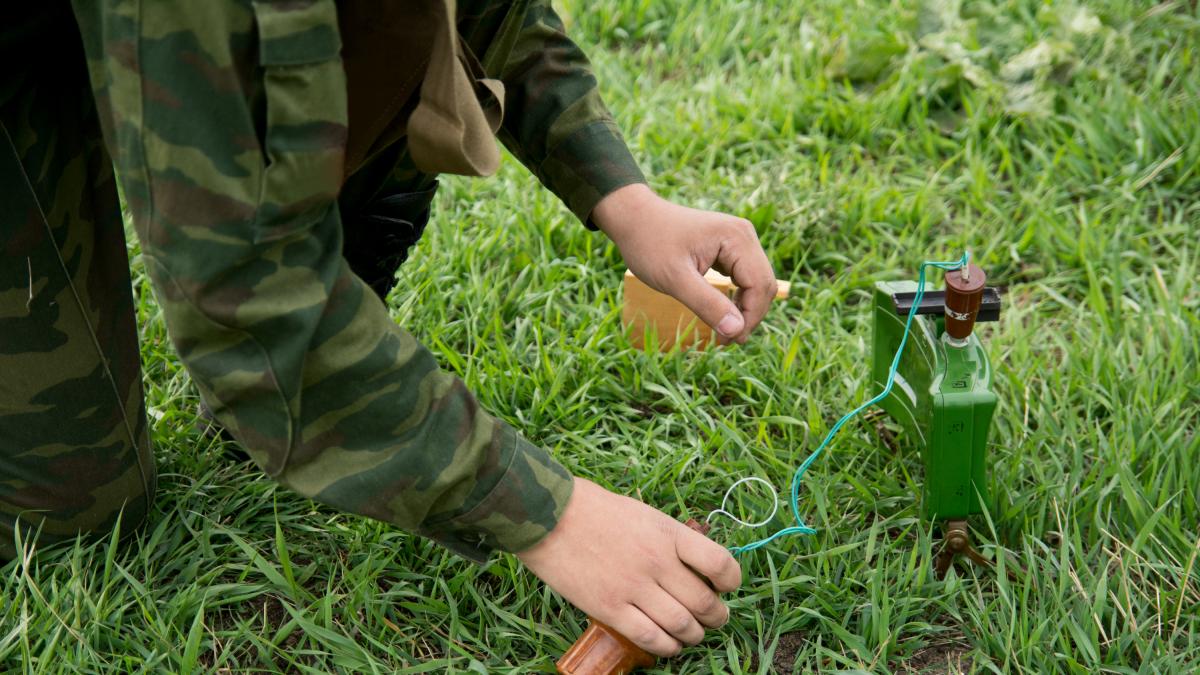 Modelowy kraj europejskiej demokracji mobilizuje się do legalizacji min przeciwpiechotnych