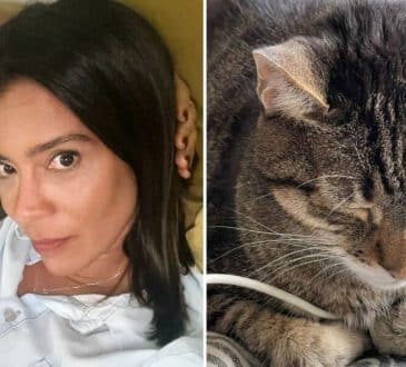 Rita Ferro Rodrigues “chocada” com preço de exame para animais: “Não tinha consciência…”