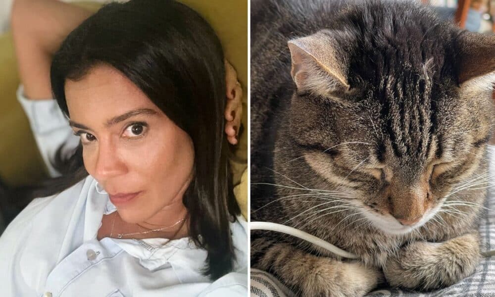 Rita Ferro Rodrigues “chocada” com preço de exame para animais: “Não tinha consciência…”