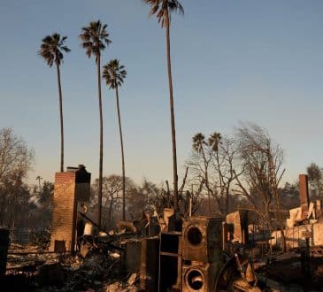 Wśród osób zaginionych w pożarach w Los Angeles nie ma Portugalczyka