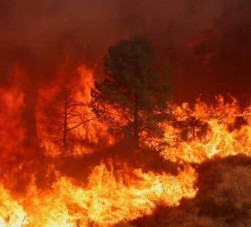 Niekontrolowany pożar zmusza 50 000 ludzi do ewakuacji w Los Angeles