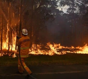 Australia rozkazuje wycofać się z około 1500 osób z powodu pożaru lasu