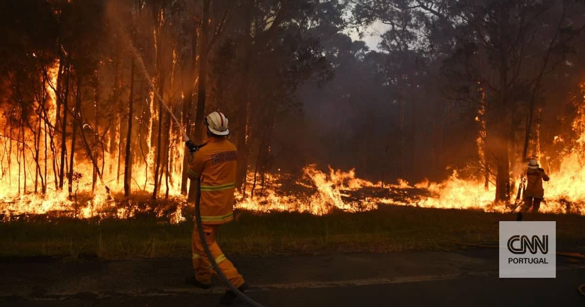 Australia rozkazuje wycofać się z około 1500 osób z powodu pożaru lasu