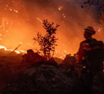 Pożar w Los Angeles: zginęło 10 osób, a w bitwie o gaszenie skazańców