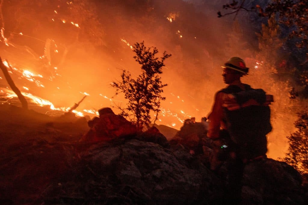 Pożar w Los Angeles: zginęło 10 osób, a w bitwie o gaszenie skazańców