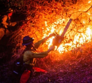 Pożar w Los Angeles: 24 osoby nie żyją – niszczycielski ogień nie ustaje