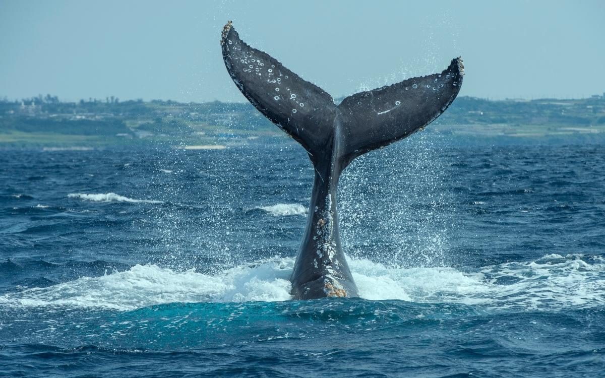 Do 2025 roku pod koniec stycznia 3 znaki zodiaku złapią sukces za ogon