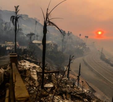 Zdjęcia z Los Angeles i Palisades ukazują niszczycielską skalę niekontrolowanych pożarów w Kalifornii