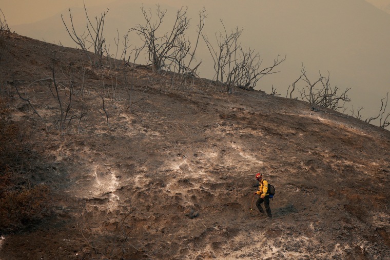 Zdjęcie: Silny wiatr podsyca liczne pożary w całym Los Angeles Strażak pożar palisad na zboczu wzgórza