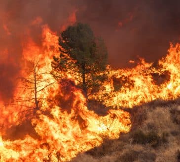 Tysiące osób kazano się ewakuować po tym, jak w hrabstwie Los Angeles wybuchły dwa nowe pożary