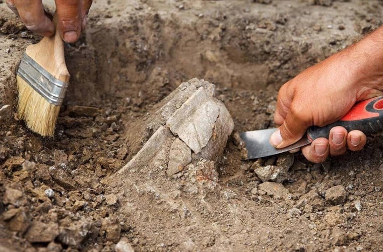 Gdzie znaleźli mapę wyjaśniającą tajemnicę lokalizacji Arki Noego