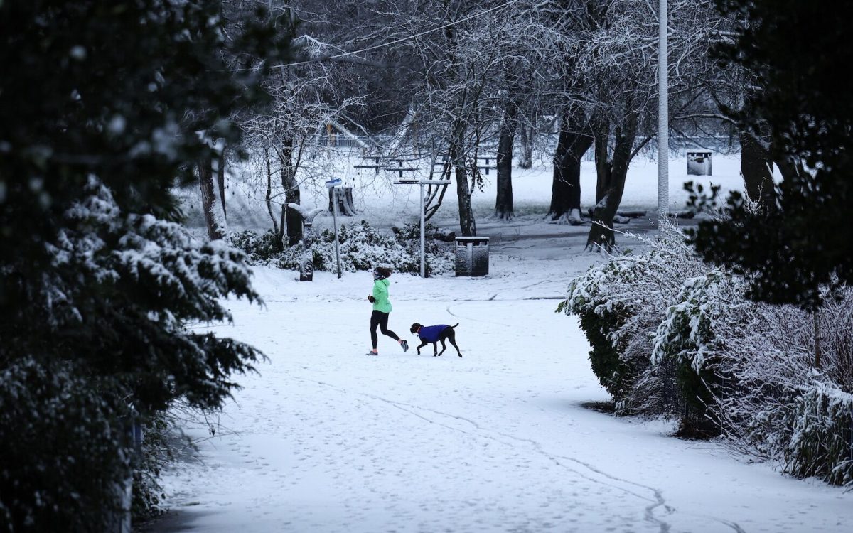 Śnieg wpływa na loty w Wielkiej Brytanii, „wyjątkowo poważna” sytuacja w Niemczech, fala zimna w USA