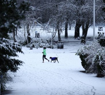 Śnieg wpływa na loty w Wielkiej Brytanii, „wyjątkowo poważna” sytuacja w Niemczech, fala zimna w USA