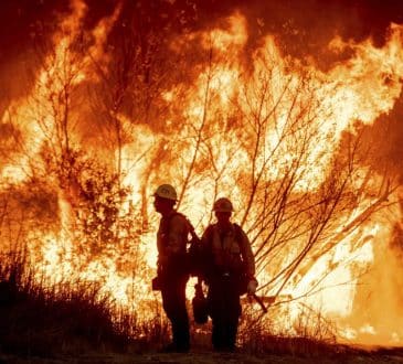 Pożar w Los Angeles: największa dewastacja w wideo i obrazach