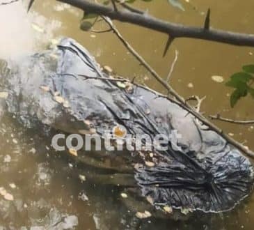 Pijaństwo kończy się zadźganiem mężczyzny na śmierć i wrzuceniem do Rio, w głębi Akki