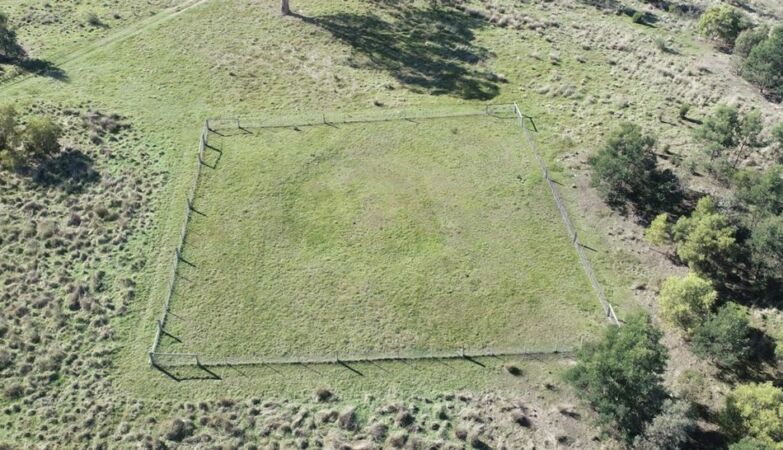 Pochodzenie tajemniczych 1400-letnich „pierścieni ziemi” odkrytych w Australii