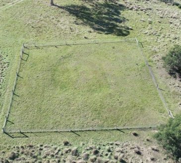 Pochodzenie tajemniczych 1400-letnich „pierścieni ziemi” odkrytych w Australii