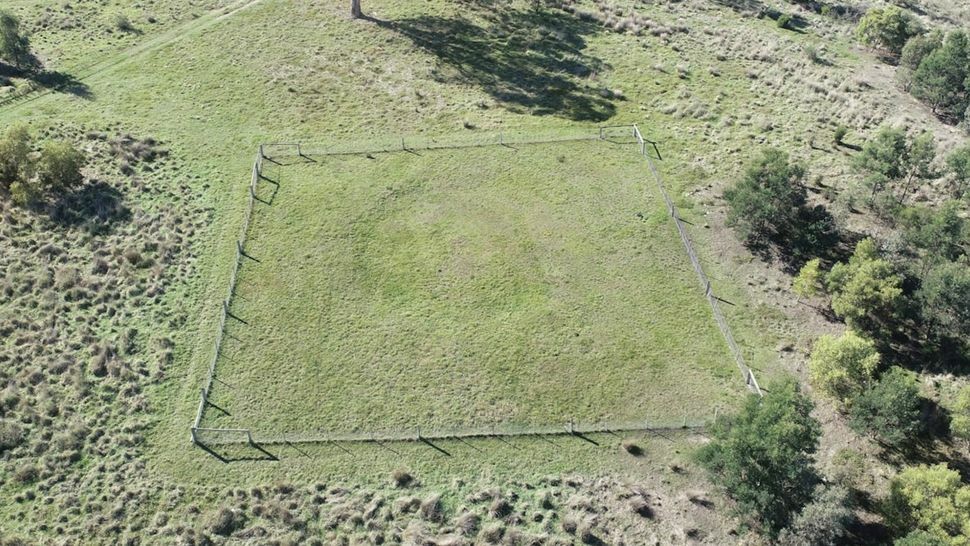 Pochodzenie tajemniczych 1400-letnich „pierścieni ziemi” odkrytych w Australii