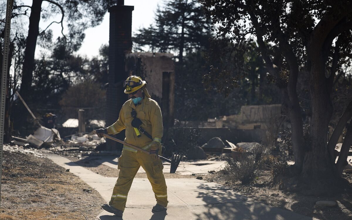 „Domy spłonęły, drzewa nie” podczas pożarów w Los Angeles