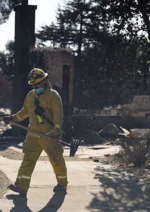 „Domy spłonęły, drzewa nie” podczas pożarów w Los Angeles