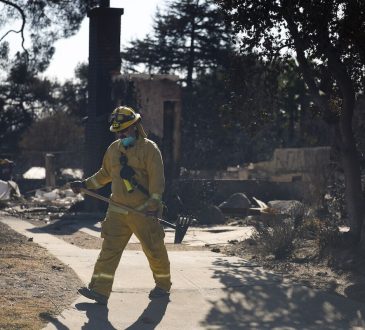 „Domy spłonęły, drzewa nie” podczas pożarów w Los Angeles