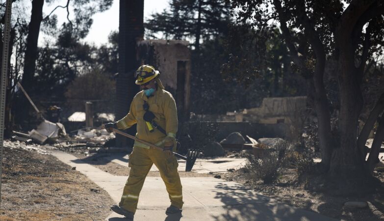 „Domy spłonęły, drzewa nie” podczas pożarów w Los Angeles