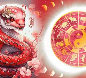 CHIŃSKI Horoskop na Rok Węża. Jaki wpływ na każdy znak zodiaku będzie miał ten znak. Zapowiada się rok dynamiczny, pełen wyzwań i osiągnięć