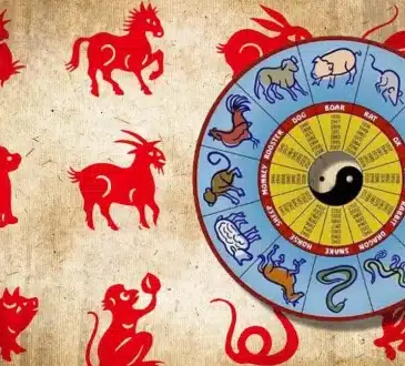 Niedziela chińskiego zodiaku 19 stycznia 2025 r. Szczęście w miłości do Tygrysa, radykalna decyzja dla Węża