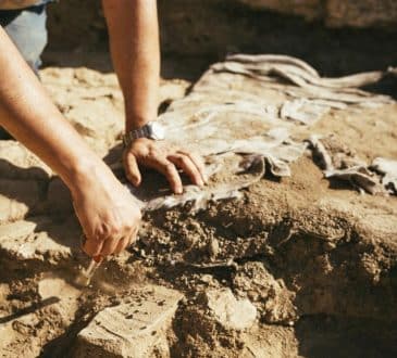 Absolutne zdziwienie archeologów rzadkim odkryciem 40 razy większym niż oczekiwano