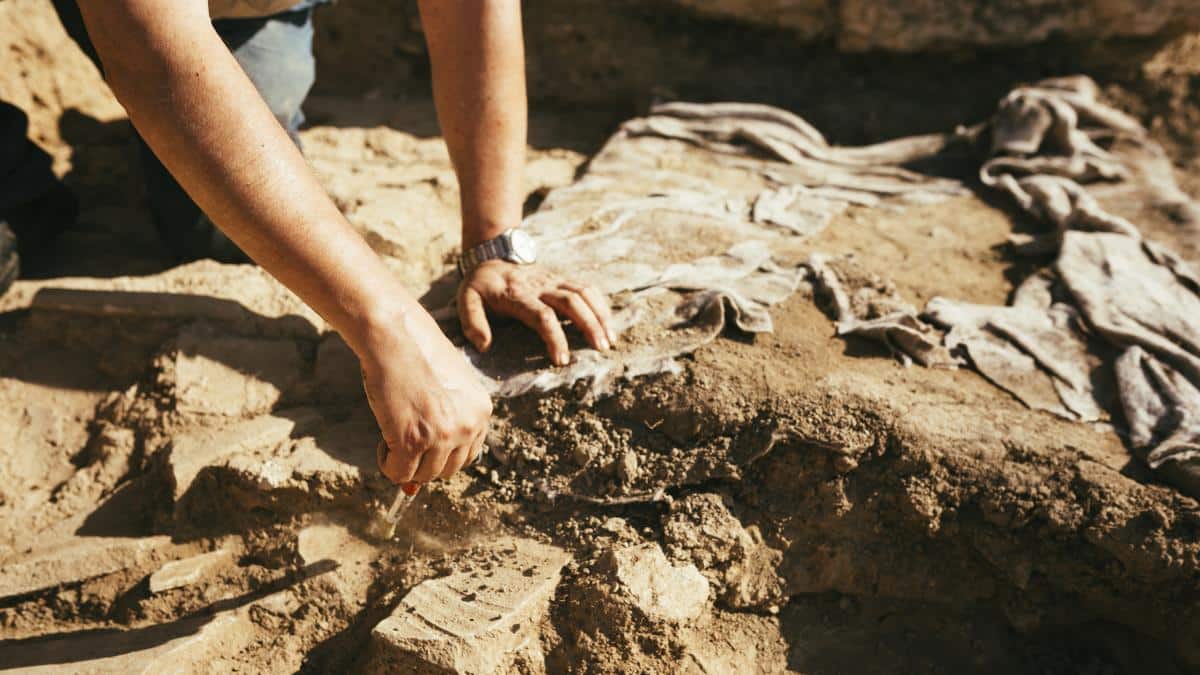 Absolutne zdziwienie archeologów rzadkim odkryciem 40 razy większym niż oczekiwano