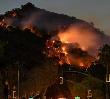 W pożarach w Los Angeles zginęło już co najmniej 16 osób