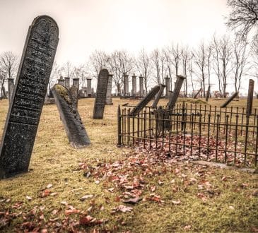 Tajemnica na cmentarzu w Monachium. Kody QR pojawiły się znikąd w ponad 1000 grobach