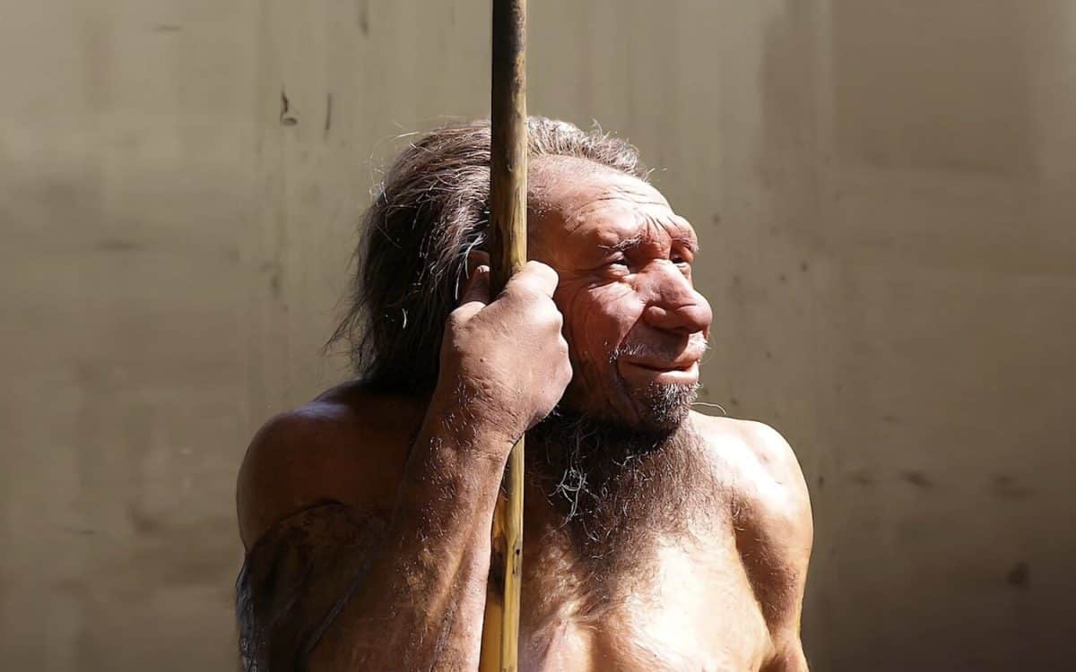 Pochodzenie neandertalczyków nie jest tym, co myśleliśmy (a sekret jest w uszach)