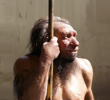 Pochodzenie neandertalczyków nie jest tym, co myśleliśmy (a sekret jest w uszach)