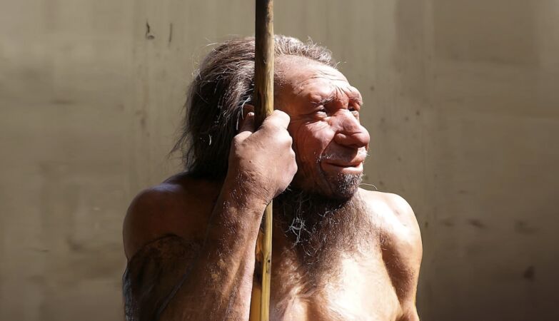 Pochodzenie neandertalczyków nie jest tym, co myśleliśmy (a sekret jest w uszach)