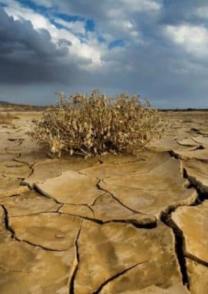 Tempo transformacji klimatu na ziemi pokonuje tysiącletnie rekordy