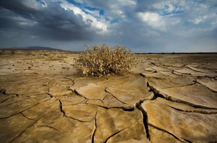 Tempo transformacji klimatu na ziemi pokonuje tysiącletnie rekordy