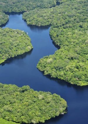 Brudne upadek prądów atlantyckich może uratować Amazonię