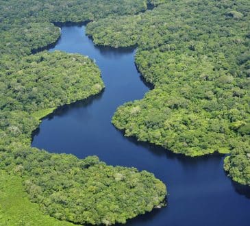 Brudne upadek prądów atlantyckich może uratować Amazonię