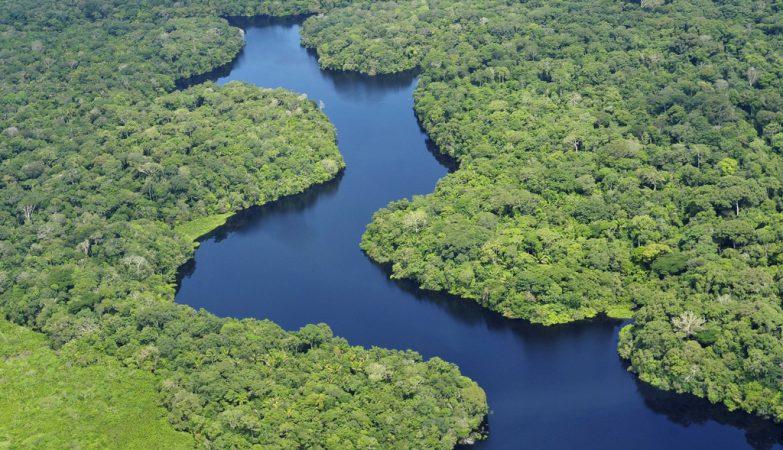 Brudne upadek prądów atlantyckich może uratować Amazonię