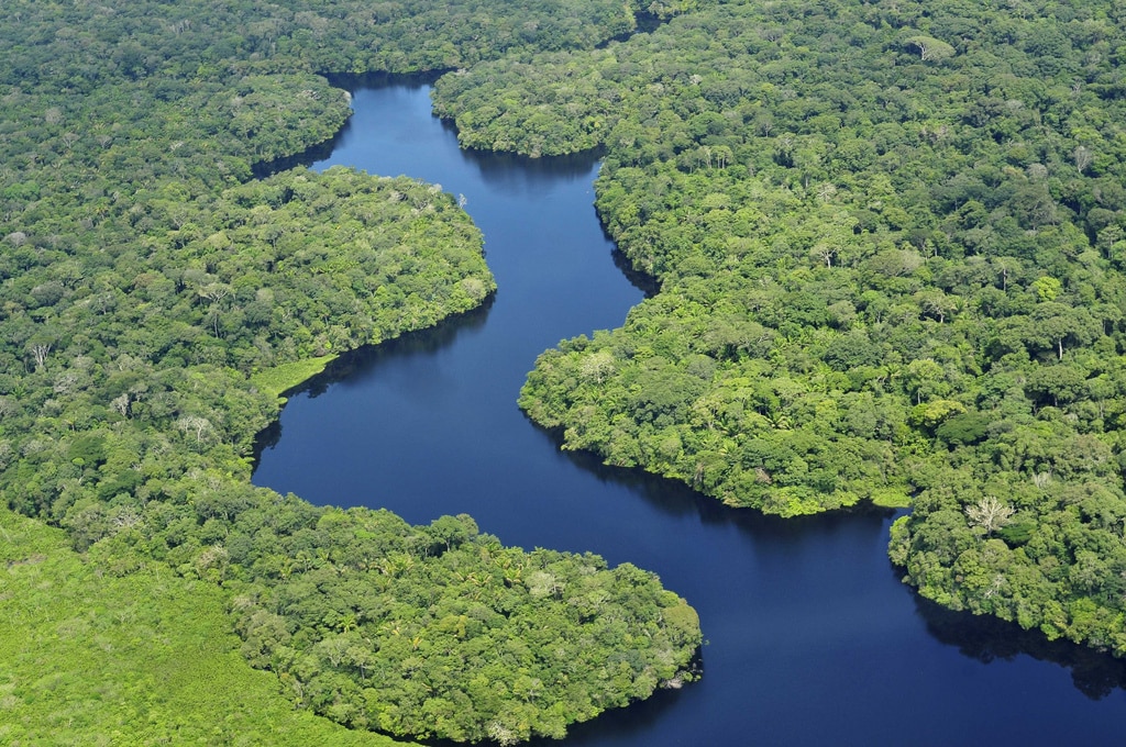 Brudne upadek prądów atlantyckich może uratować Amazonię