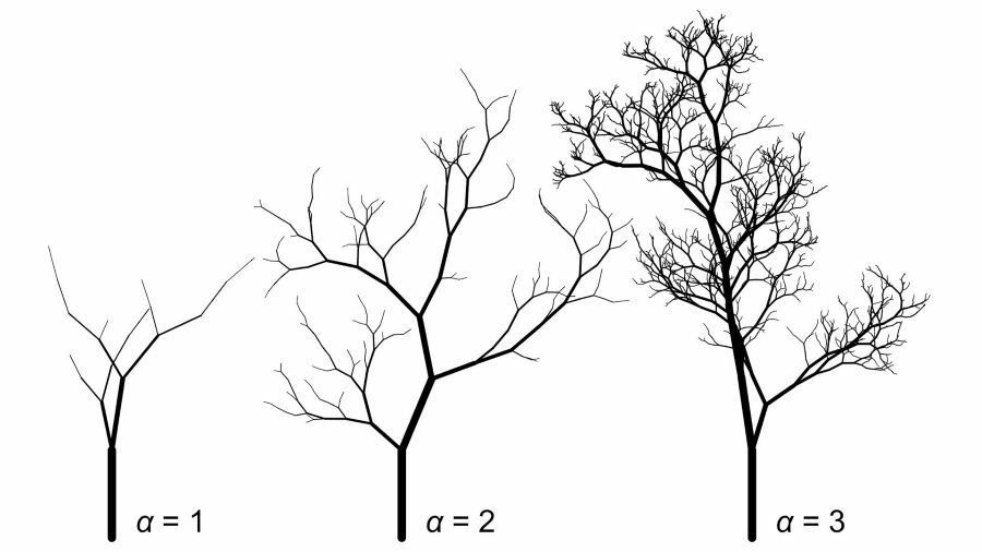 Od Vinci miał rację. Odkrył matematyczny sekret sztuki drzew