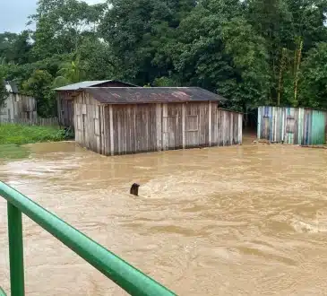 Po deszczu Igarapé przepełnia się w Acre i dociera do dziesiątek rodzin; Zdjęcia