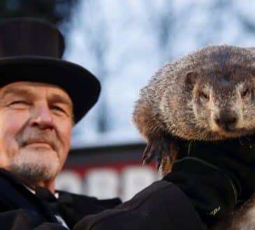 MARMOT DZIEŃ: Phil przewiduje, że zima będzie dłuższa niż oczekiwano