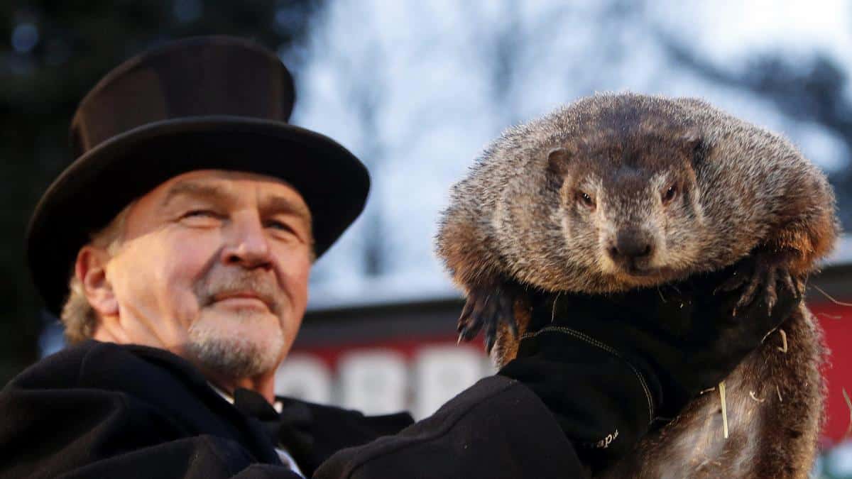 MARMOT DZIEŃ: Phil przewiduje, że zima będzie dłuższa niż oczekiwano