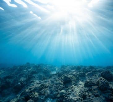 Ocean traci zdolność do zachowania ciepła, gdy planeta się rozgrzewa