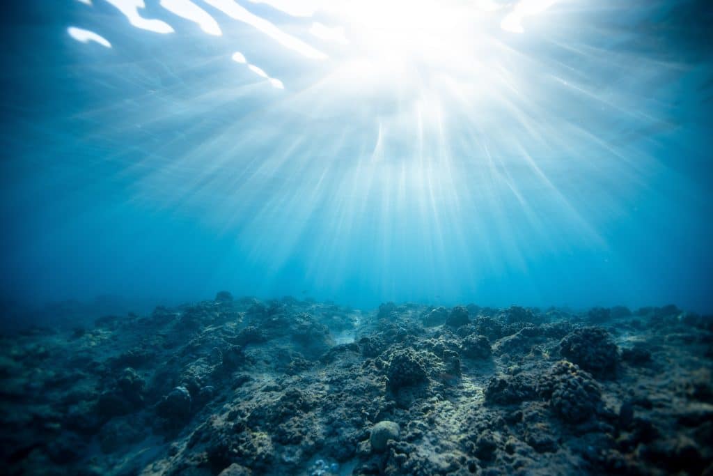 Ocean traci zdolność do zachowania ciepła, gdy planeta się rozgrzewa