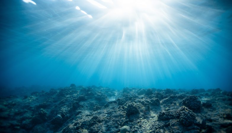 Ocean traci zdolność do zachowania ciepła, gdy planeta się rozgrzewa