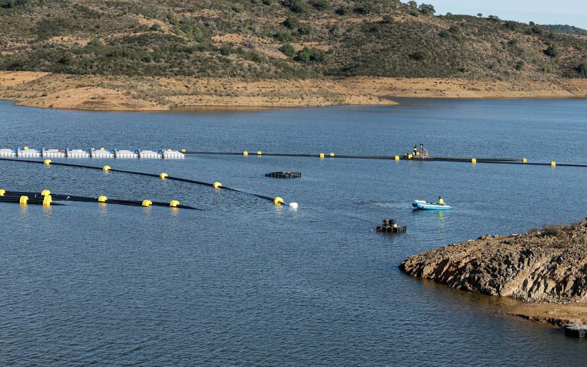 Odeleite Dam otwiera komport po raz pierwszy od ośmiu lat